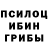 Псилоцибиновые грибы Cubensis Super Game