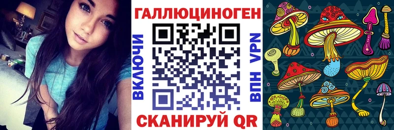 Галлюциногенные грибы Psilocybe  блэк спрут tor  Харовск 
